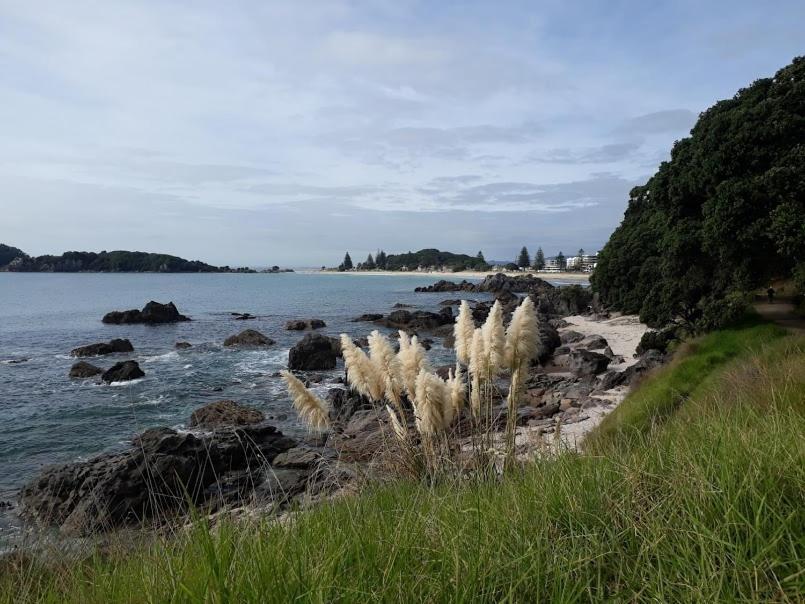 Downtown Mount B And B Mount Maunganui Eksteriør billede