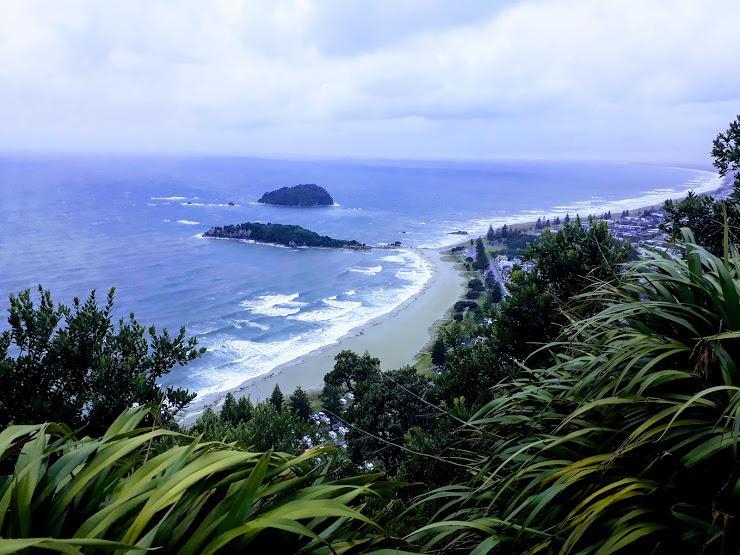 Downtown Mount B And B Mount Maunganui Eksteriør billede